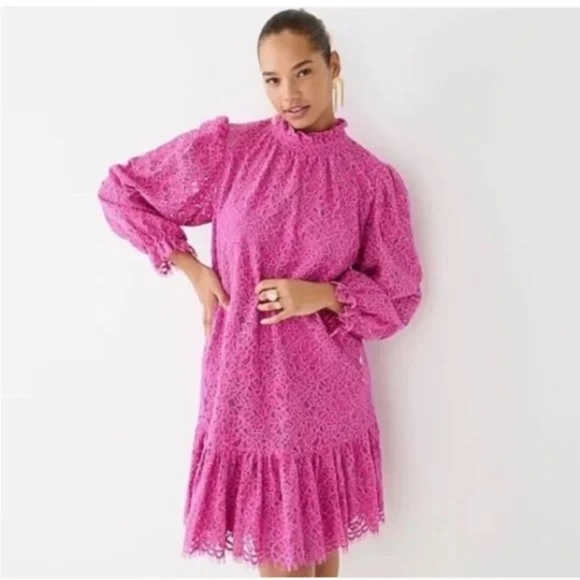 J. CREW lace long sleeve mini dress mock neck ruffle drop hem a-line bump pink - Picture 2 of 10
